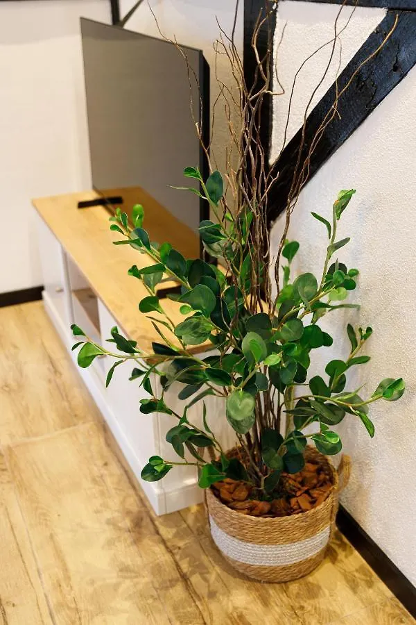 度假居 Casa Enxaimel Em 波梅罗迪